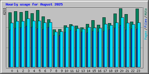 Hourly usage for August 2025