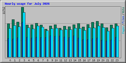 Hourly usage for July 2026